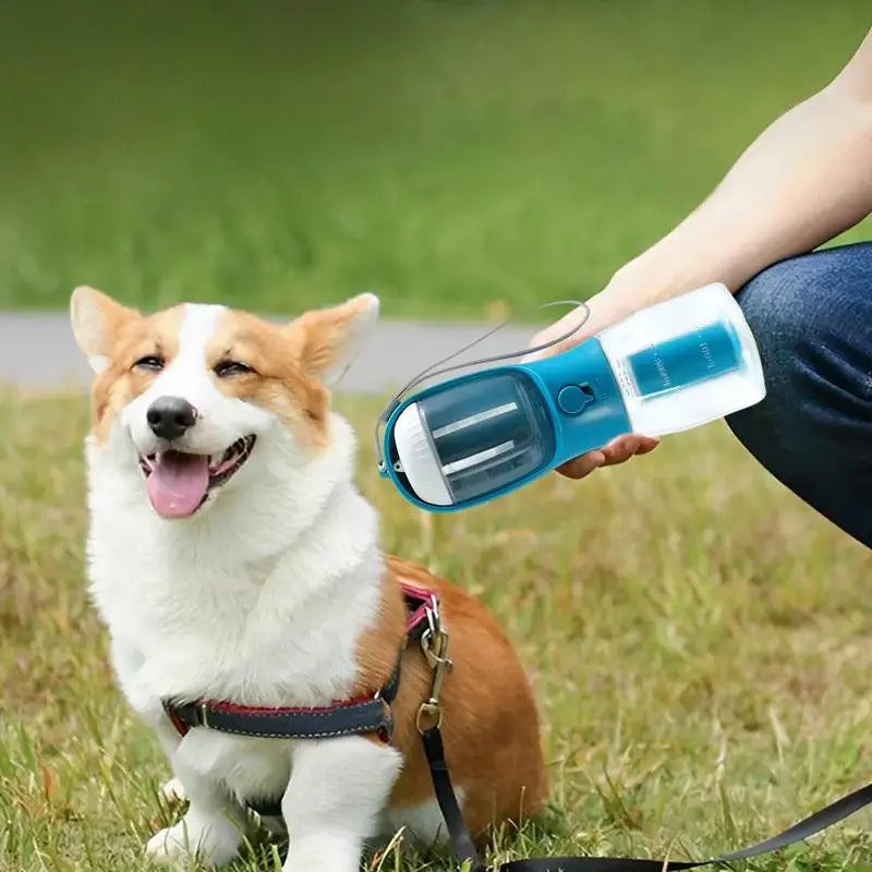 3-in-1 Adventure Pet Bottle